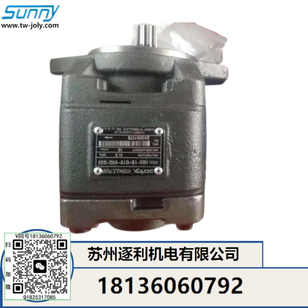 內嚙合齒輪泵HG2-80/100/125/160-01R-VPC SUNNY伺服油泵